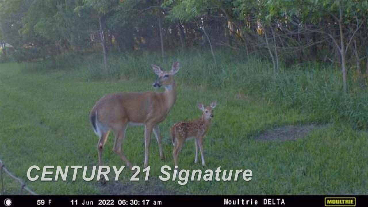 3175 South Meridian Road Merrill, MI 48637 - Photo 52 of 78