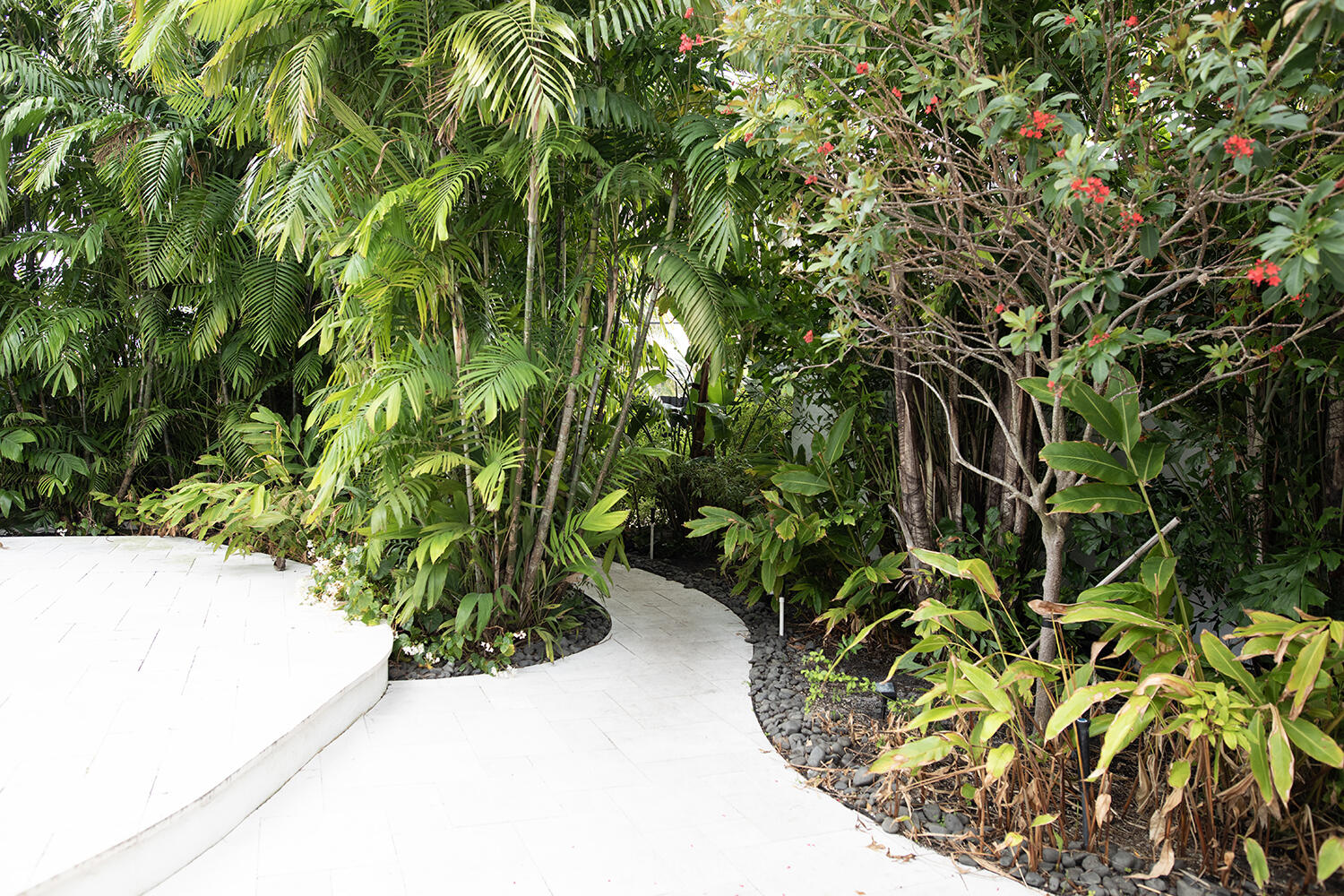 634 Southeast 3rd Avenue Delray Beach, FL 33483 - Photo 36 of 38 Yard winding path