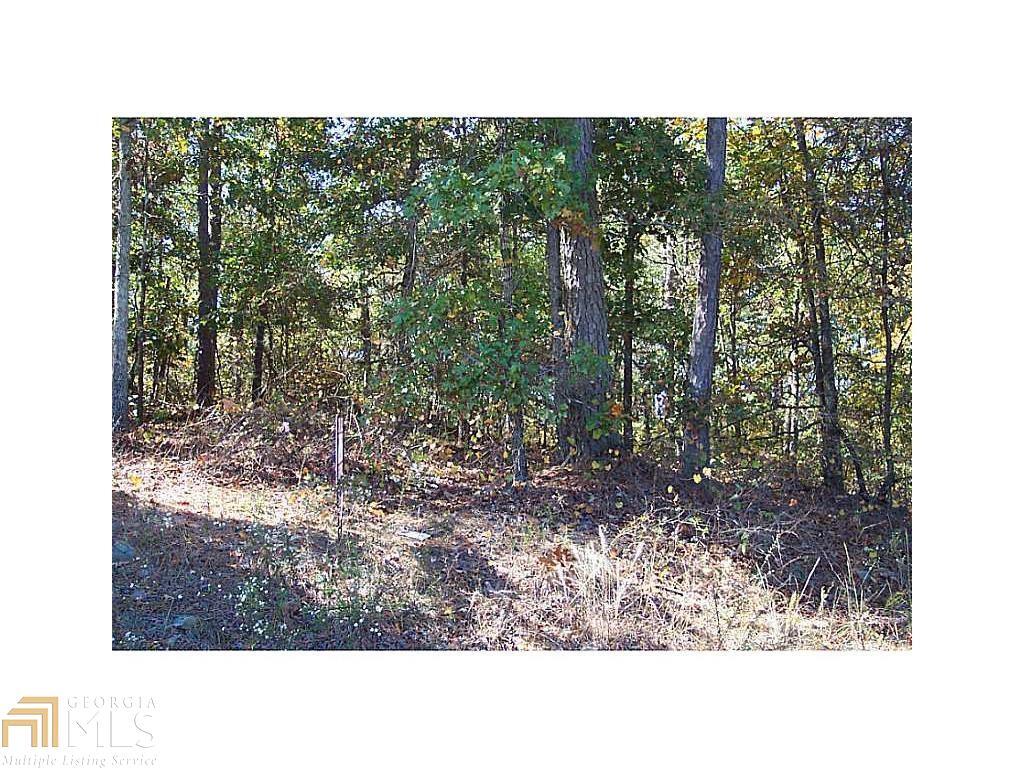0 Old Acworth Road Dallas, GA 30132 - Photo 1 of 1