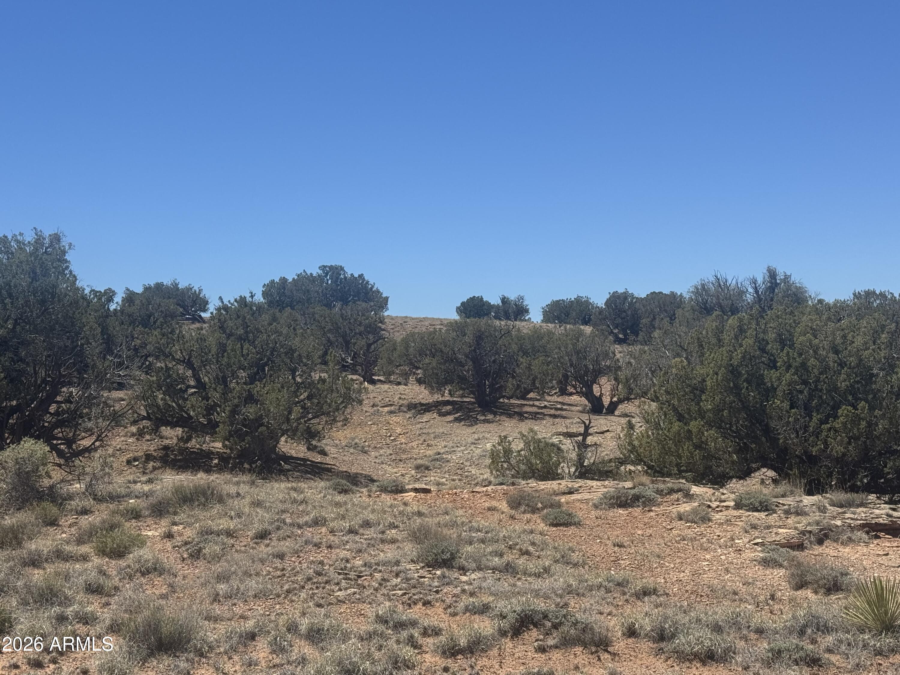 Lot 261 Woodridge Ranch, Unit 261 Concho, AZ 85924 - Photo 4 of 24 IMG_1503
