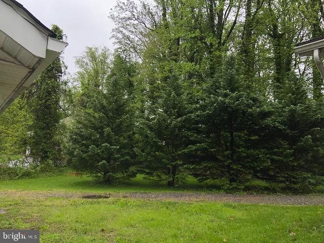 379 Hall Road Crownsville, MD 21032 - Photo 12 of 14 Natural barrier