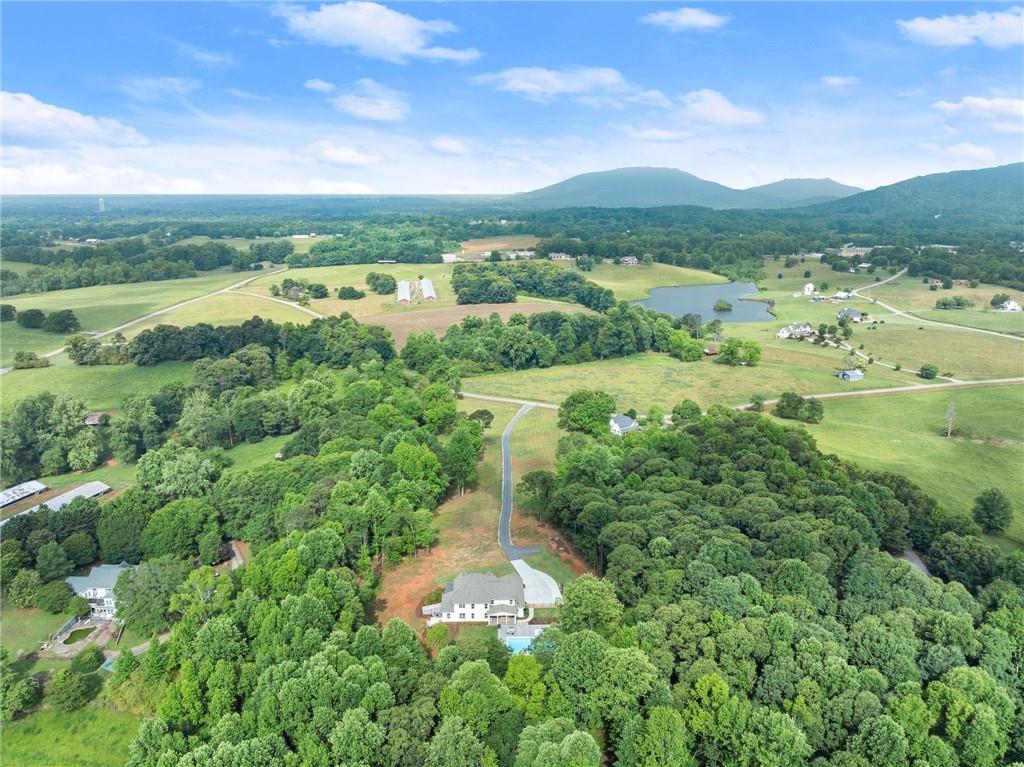 6998 Britt Gailey Road Clermont, GA 30527 - Photo 88 of 92