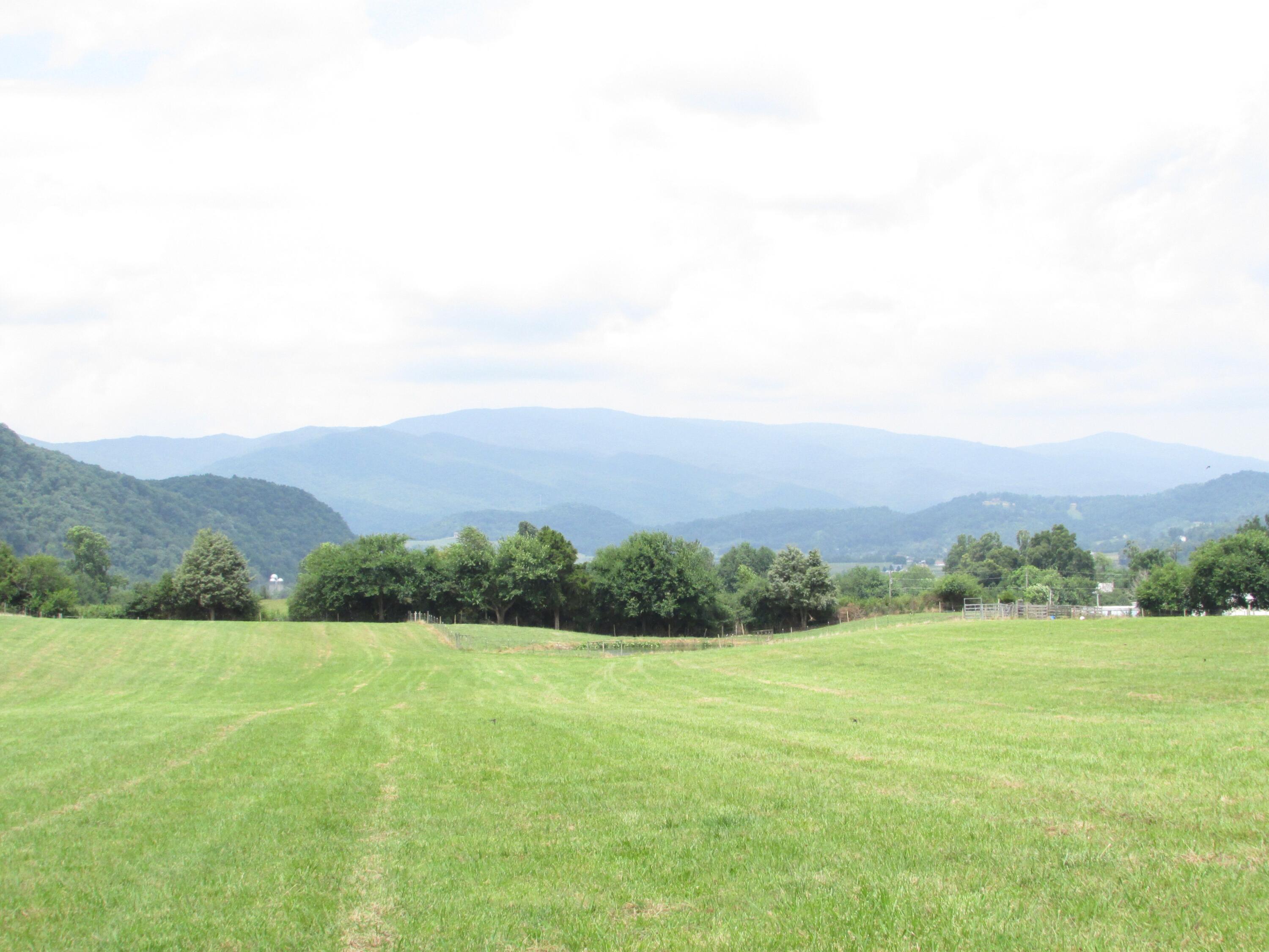 Tbd Hamilton Road Elizabethton, TN 37643 - Photo 12 of 35 TBD Hamilton Road, Elizabethton TN 37643