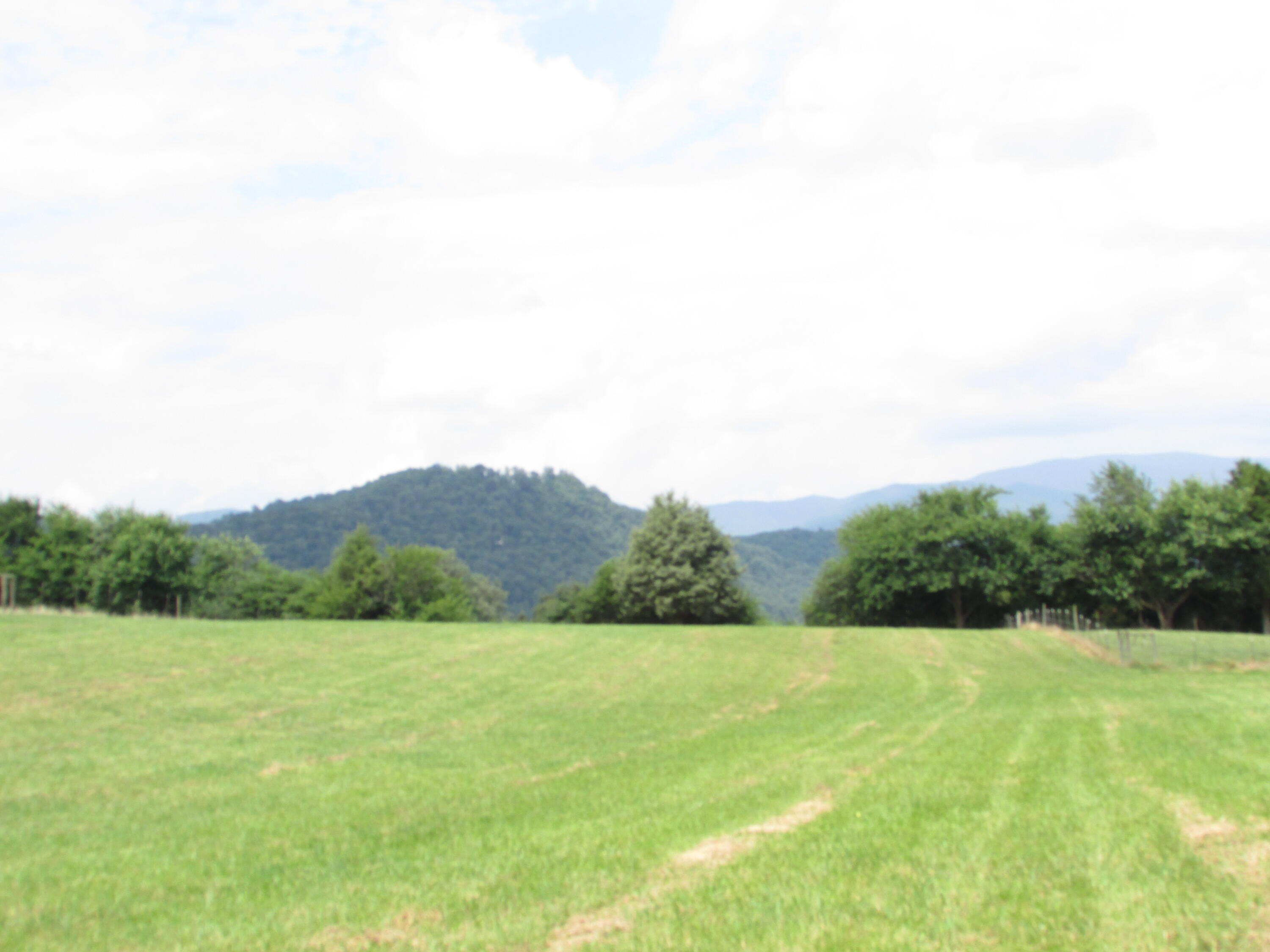 Tbd Hamilton Road Elizabethton, TN 37643 - Photo 15 of 35 TBD Hamilton Road, Elizabethton TN 37643