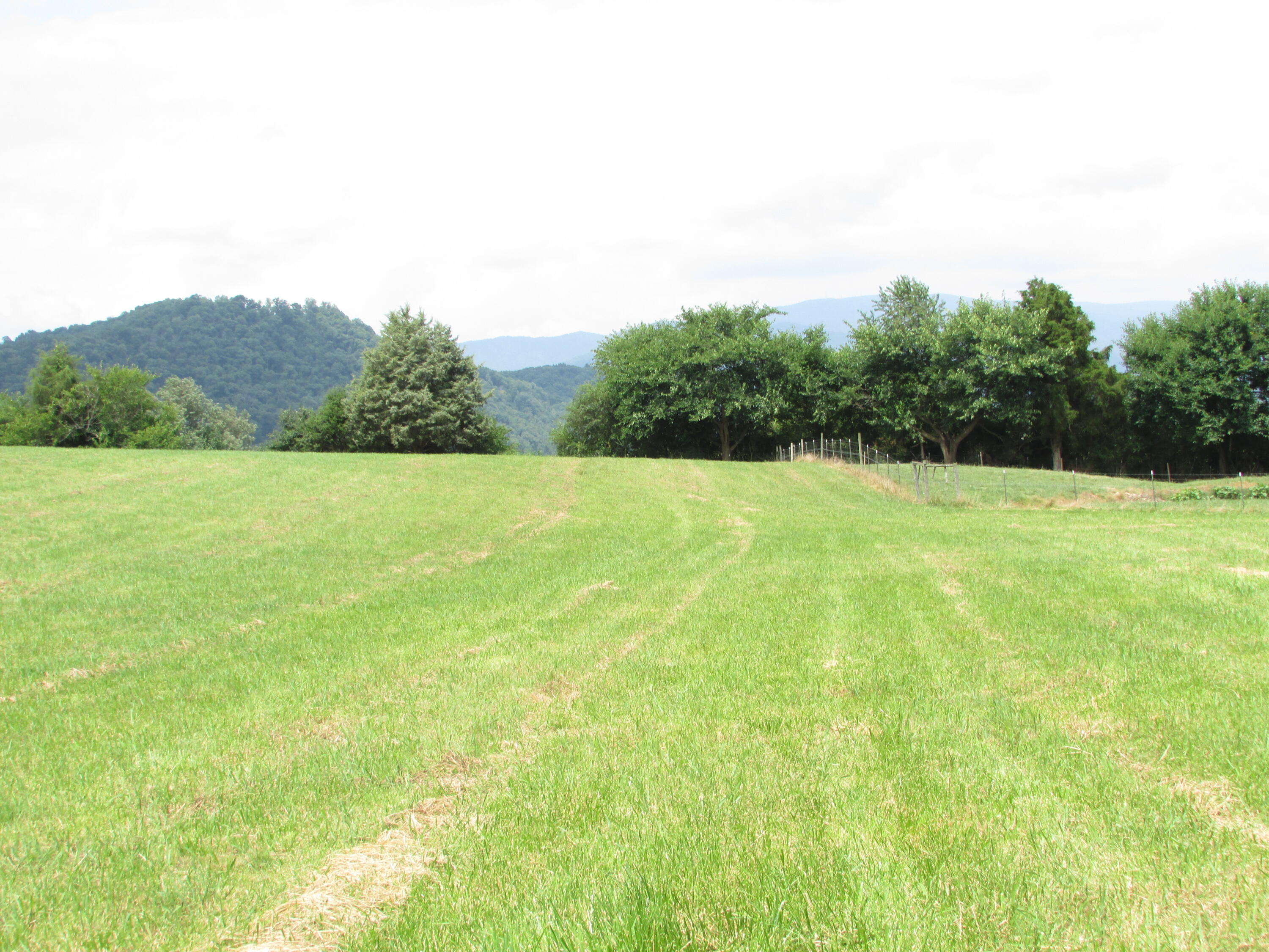 Tbd Hamilton Road Elizabethton, TN 37643 - Photo 16 of 35 TBD Hamilton Road, Elizabethton TN 37643