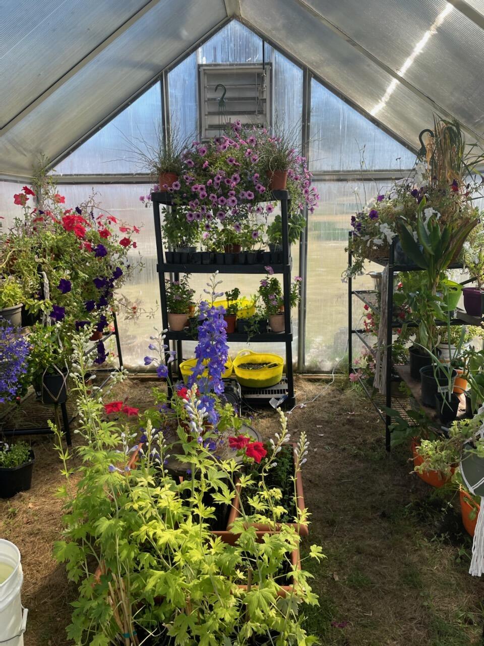 36060 Modoc Point Road Chiloquin, OR 97624 - Photo 51 of 89 Greenhouse