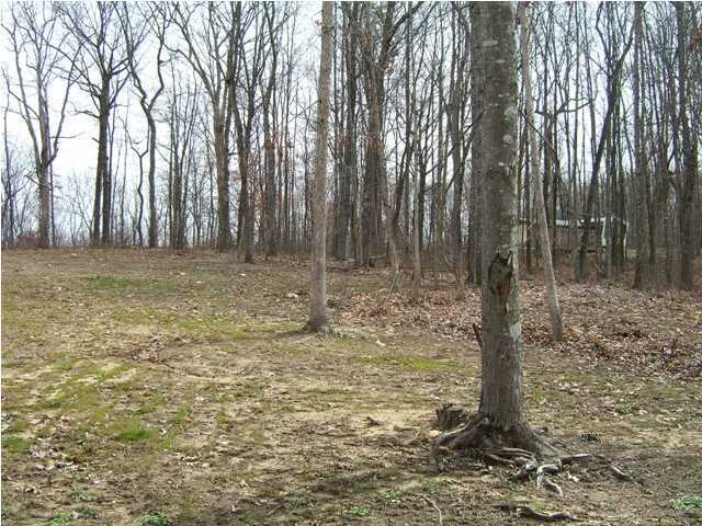 145 Knight Road Dunlap, TN 37327 - Photo 3 of 3 Additional Photo