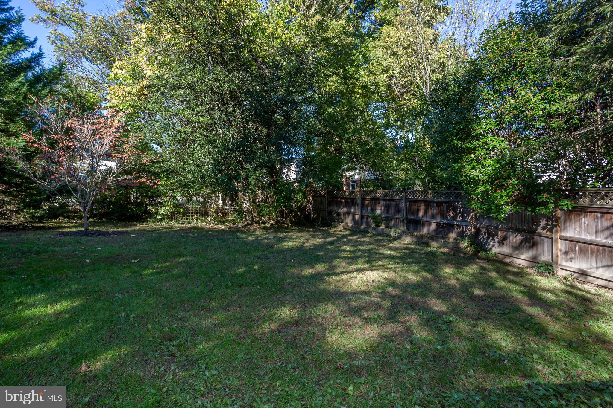 1109 Russell Road Alexandria, VA 22301 - Photo 49 of 50 Back yard beyond garage