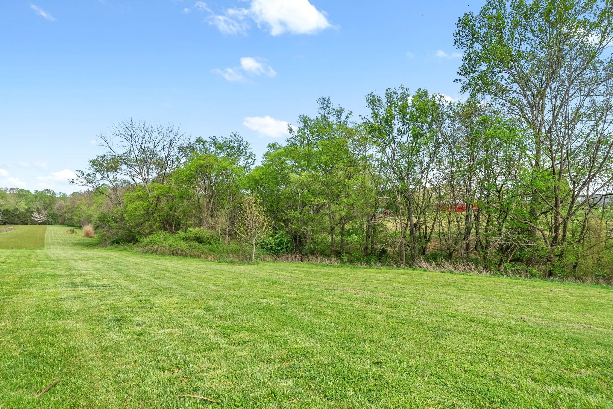 358 Ranch Road Portland, TN 37148 - Photo 40 of 43 a backyard of a house with lots of green space and fog
