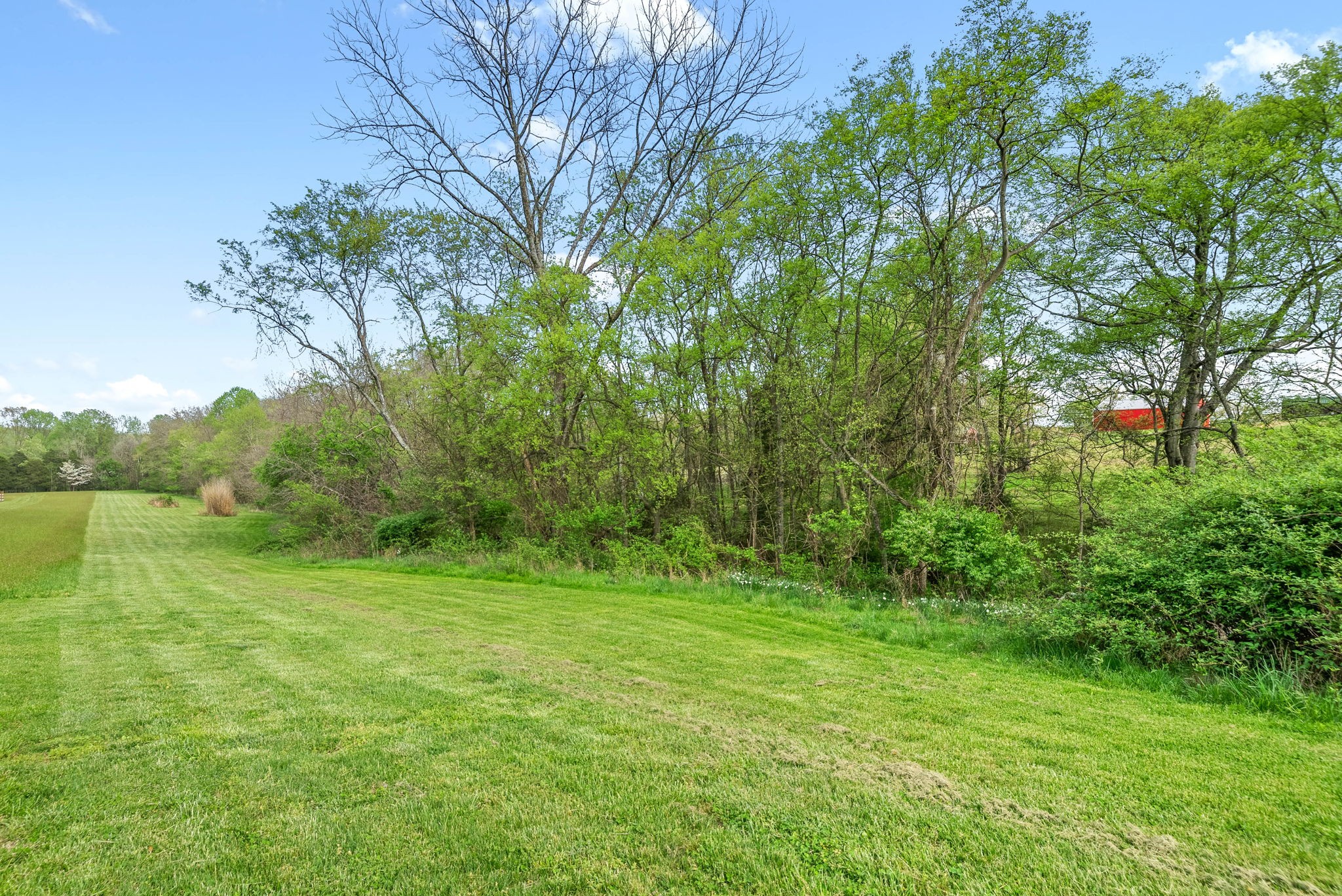 358 Ranch Road Portland, TN 37148 - Photo 41 of 43 a view of a grassy field with trees
