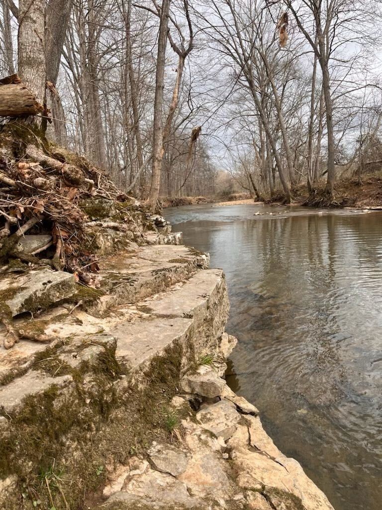 358 Ranch Road Portland, TN 37148 - Photo 43 of 43 a view of lake