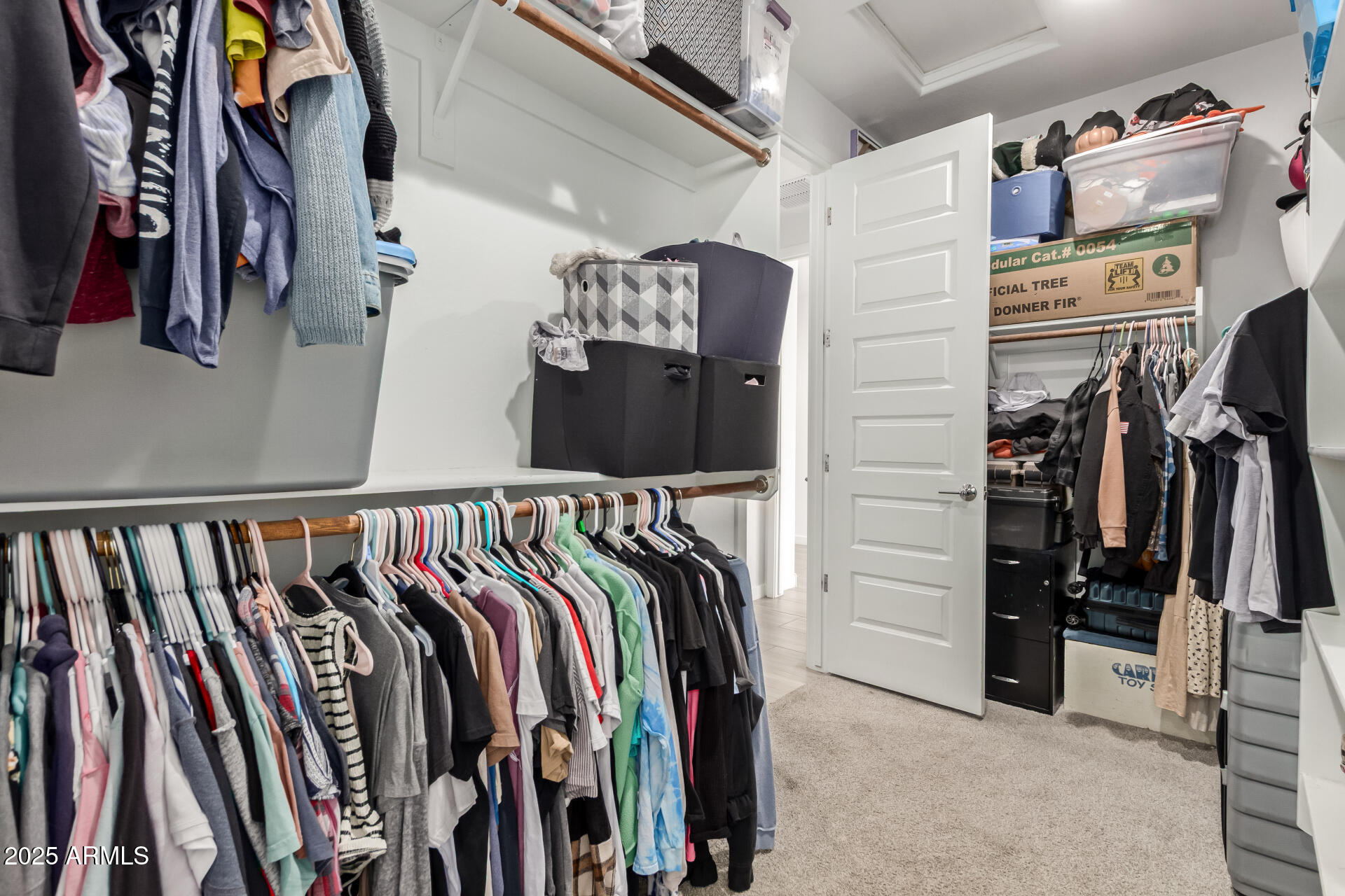 12344 East Soloman Road Gold Canyon, AZ 85118 - Photo 16 of 45 23 Soloman