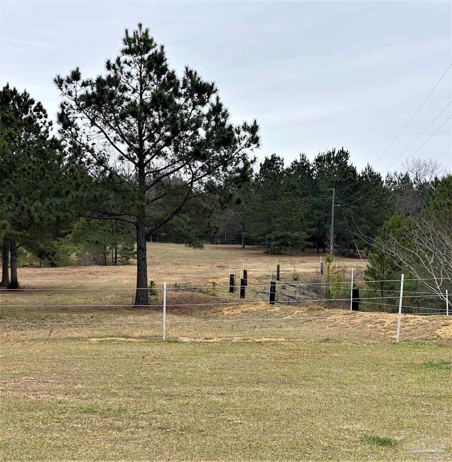 761 Eddins Road Brewton, AL 36426 - Photo 41 of 49