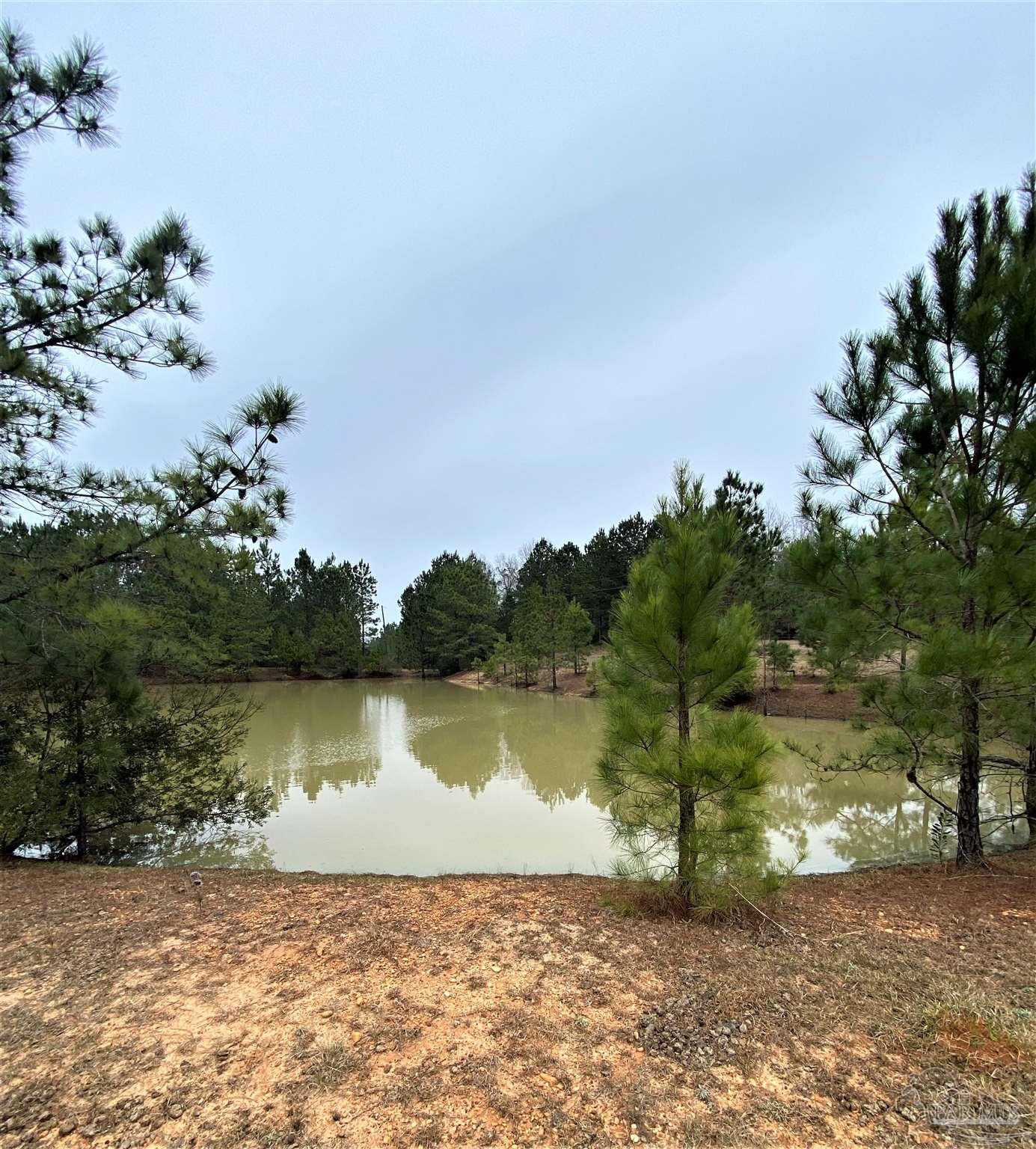 761 Eddins Road Brewton, AL 36426 - Photo 7 of 49
