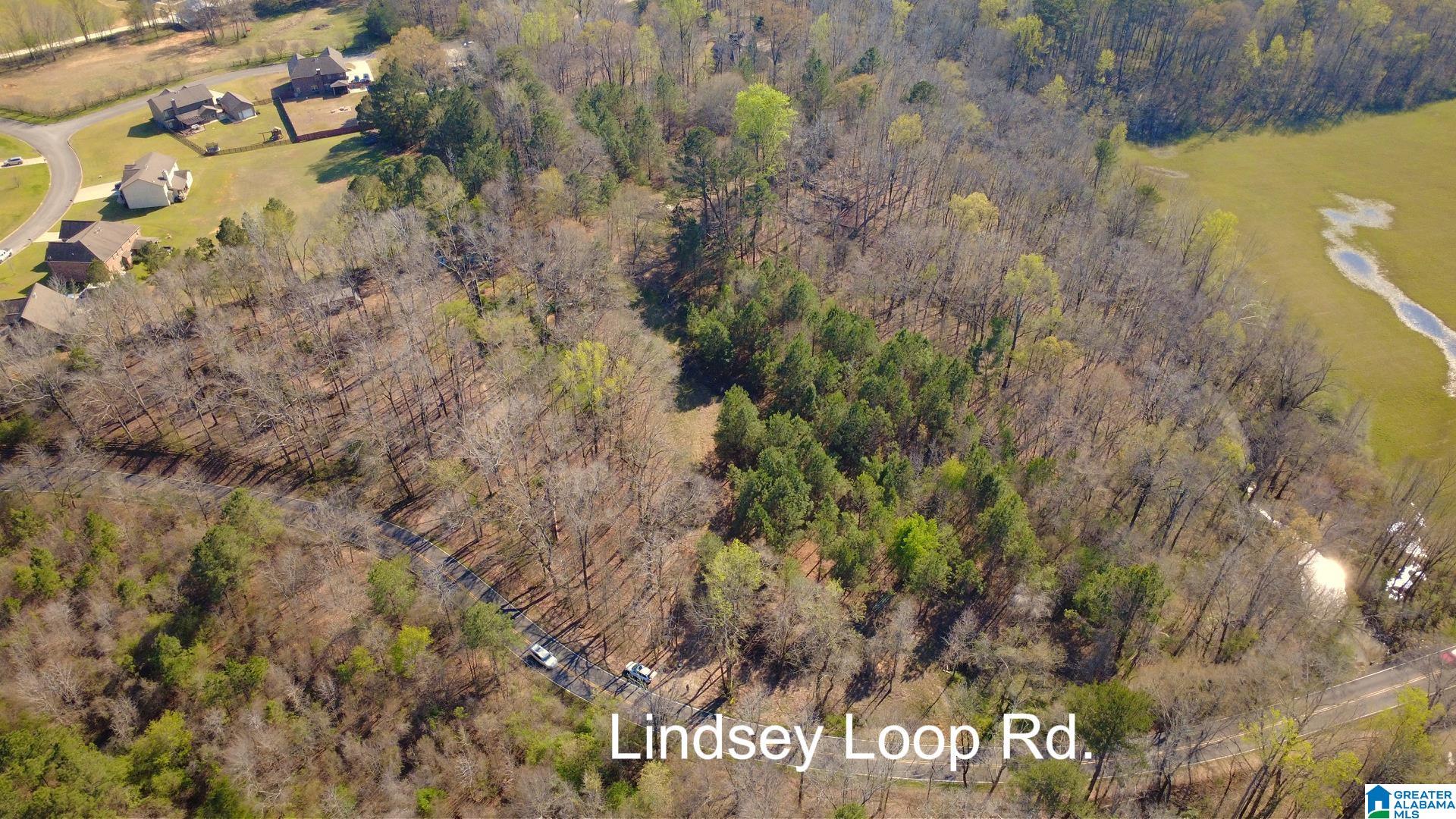 3590 Lindsey Loop Road Bessemer, AL 35022 - Photo 18 of 21 Gallery Image 18