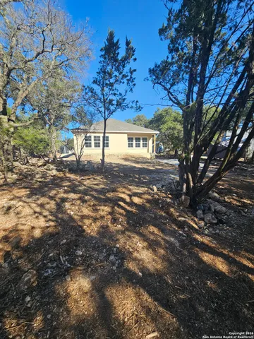 a view of a yard with plants