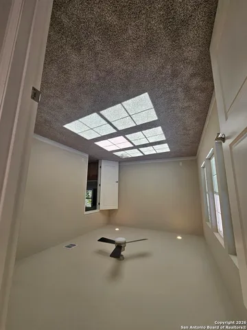 a view of a yard with large trees