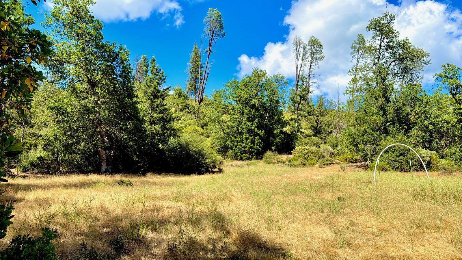 925 Kingsbury Road Hayfork, CA 96041 - Photo 10 of 21 K10