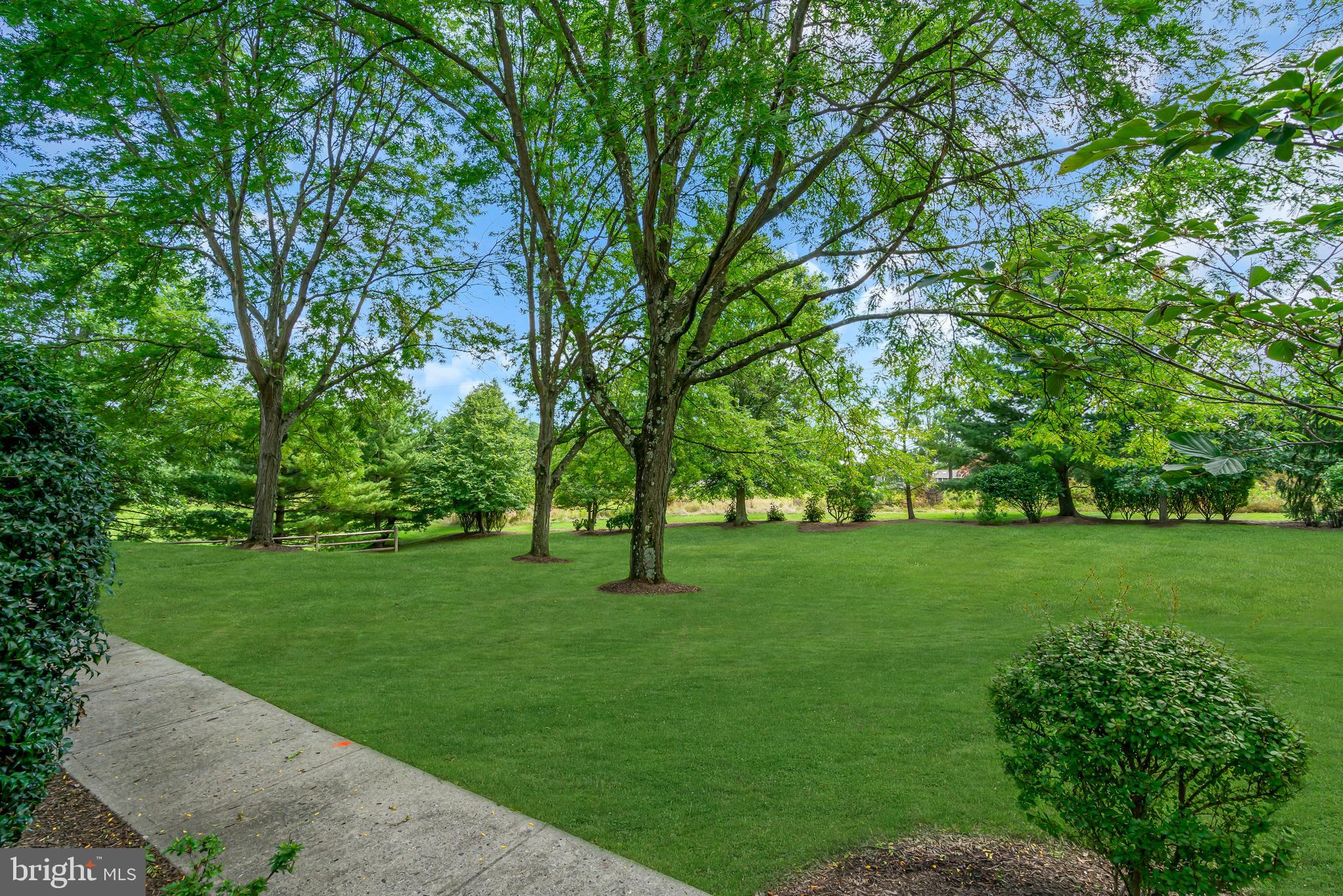 300 Watkins Road Pennington, NJ 08534 - Photo 17 of 19 View from Driveway