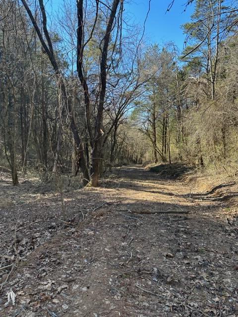 0 Botetourt Road Fincastle, VA 24090 - Photo 13 of 16 13