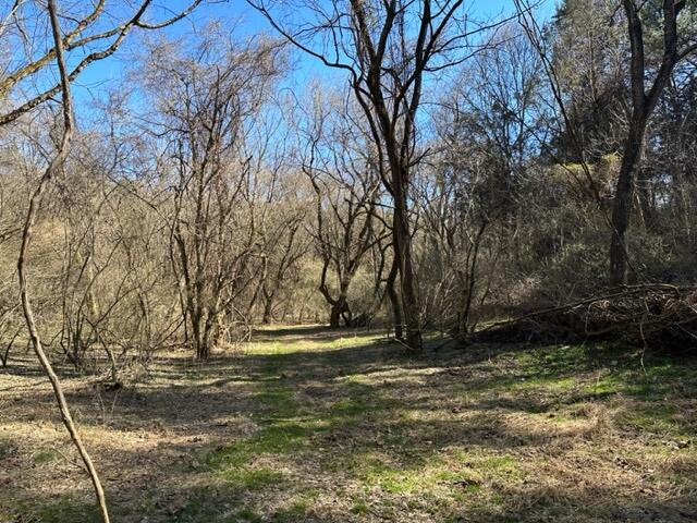 0 Botetourt Road Fincastle, VA 24090 - Photo 14 of 16 14