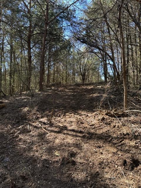 0 Botetourt Road Fincastle, VA 24090 - Photo 2 of 16 2