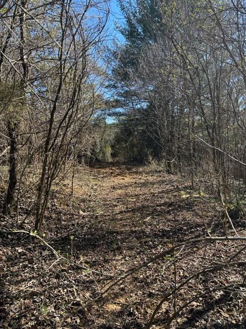 0 Botetourt Road Fincastle, VA 24090 - Photo 4 of 16 4