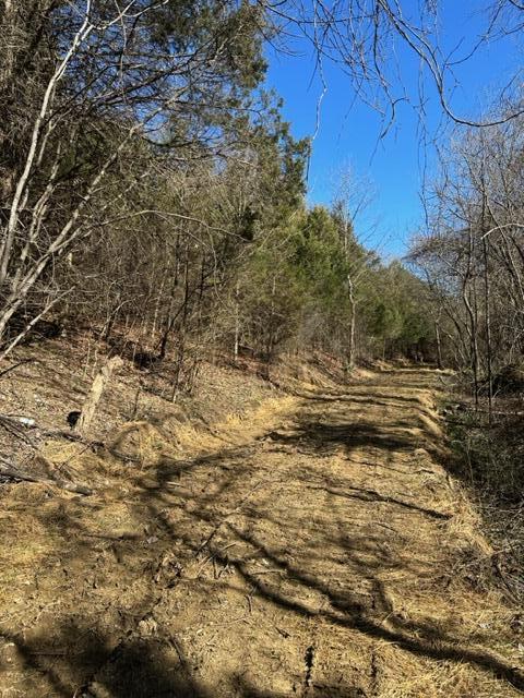0 Botetourt Road Fincastle, VA 24090 - Photo 8 of 16 8