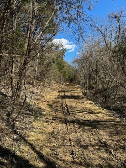 0 Botetourt Road Fincastle, VA 24090 - Photo 10 of 16 10