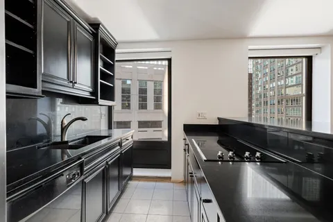 $495,000 | 40 East Delaware Place, Unit 1502, Chicago, IL 60611