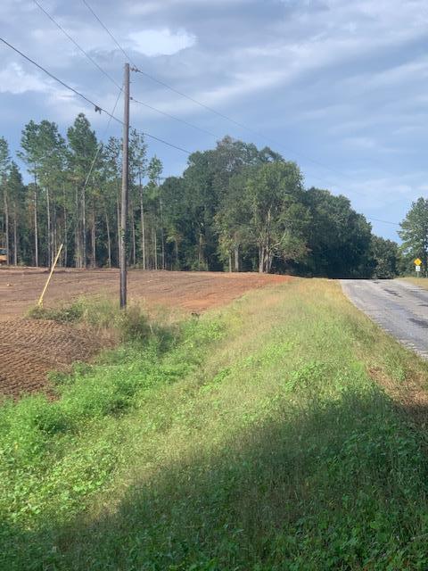 0 County Road Headland, AL 36345 - Photo 5 of 7