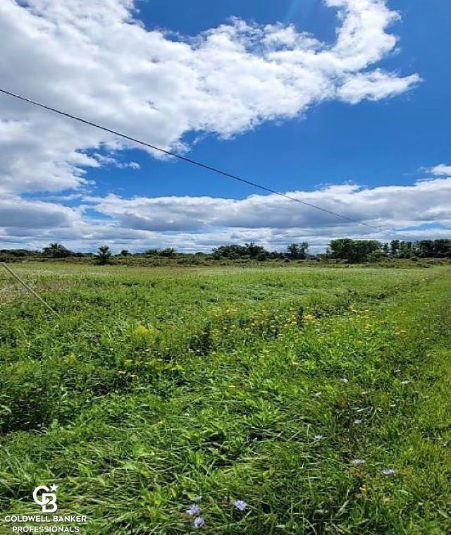 0 Brown City Road Imlay City, MI 48444 - Photo 1 of 10