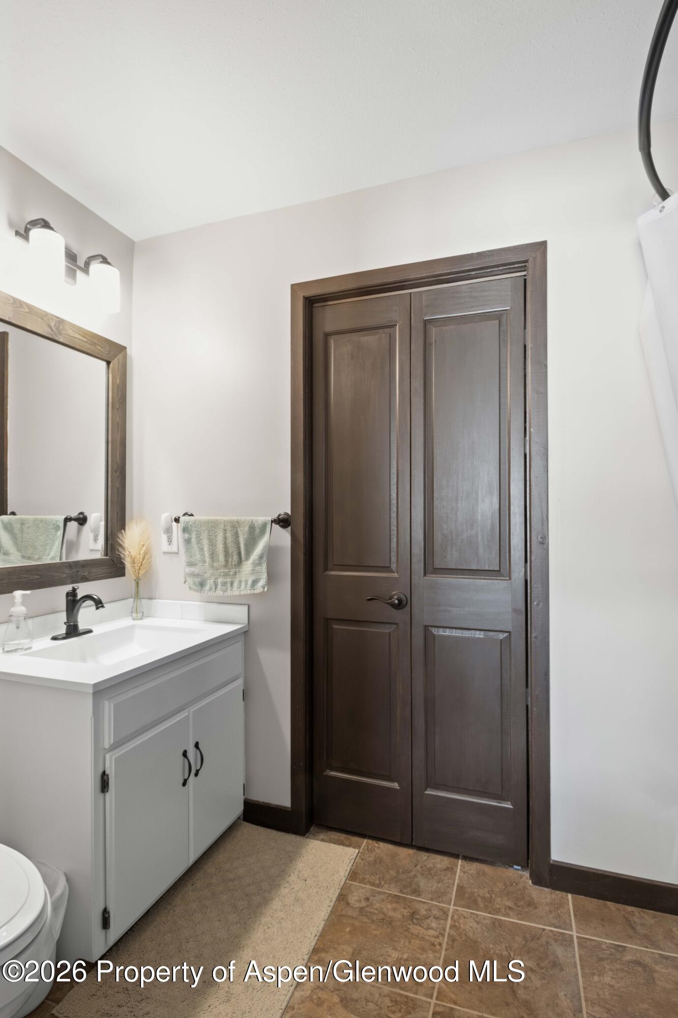411 County Road 237 Silt, CO 81652 - Photo 32 of 45 a bathroom with a sink a toilet and mirror
