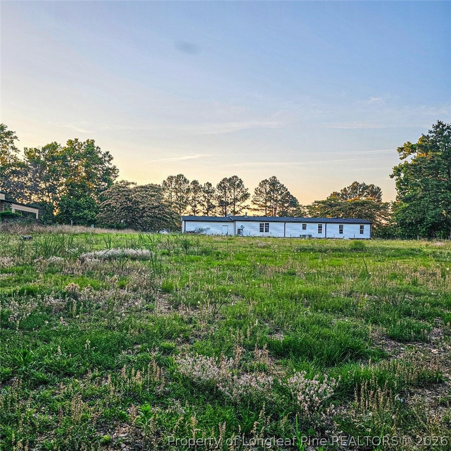 833 Brown Road Lillington, NC 27546 - Photo 23 of 23
