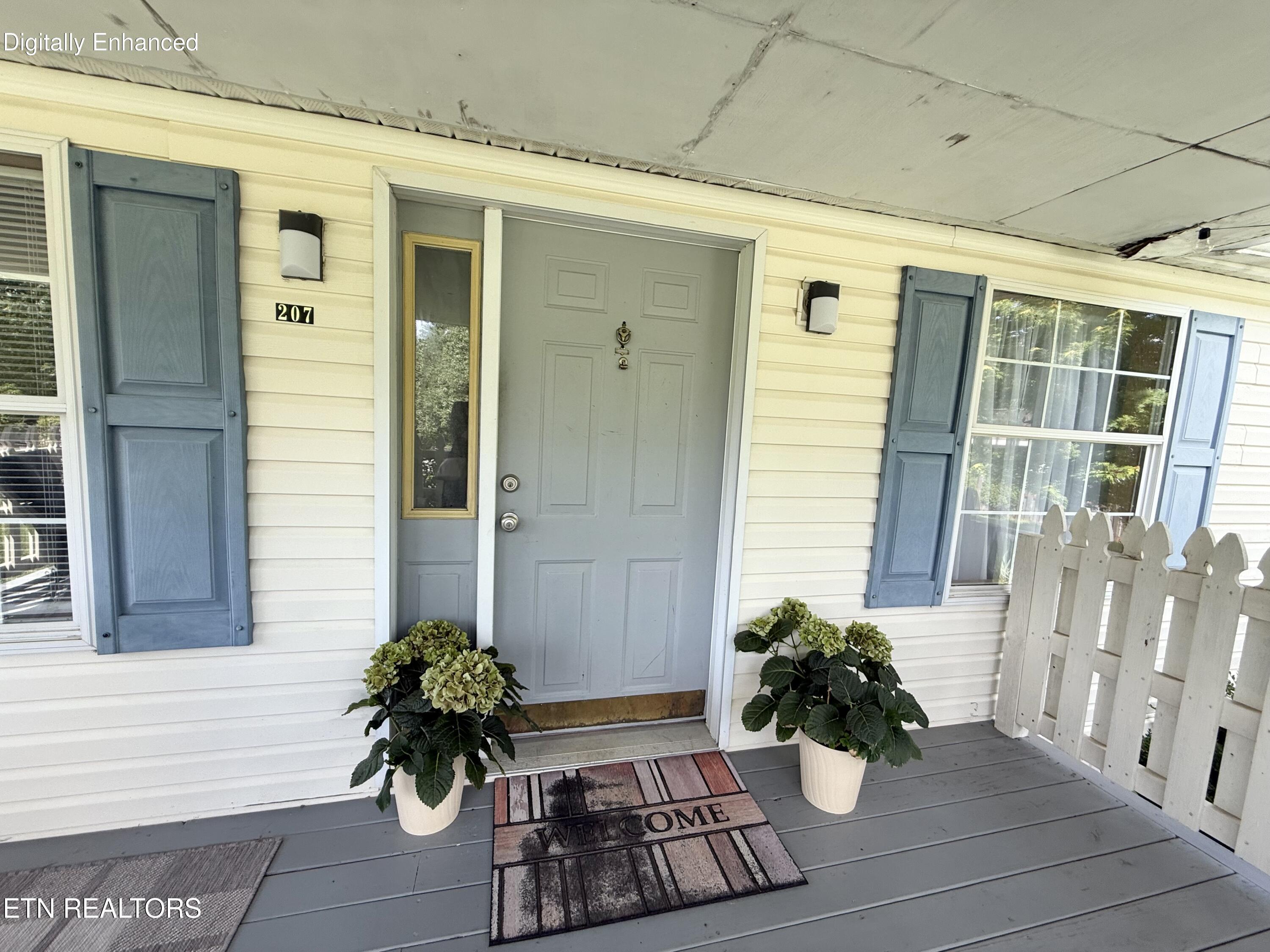 207 4th Street Corryton, TN 37721 - Photo 3 of 23 Front door