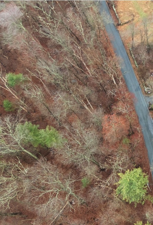 0 Cranberry Ridge Road Scituate, RI 02857 - Photo 1 of 1 Gallery Image 1