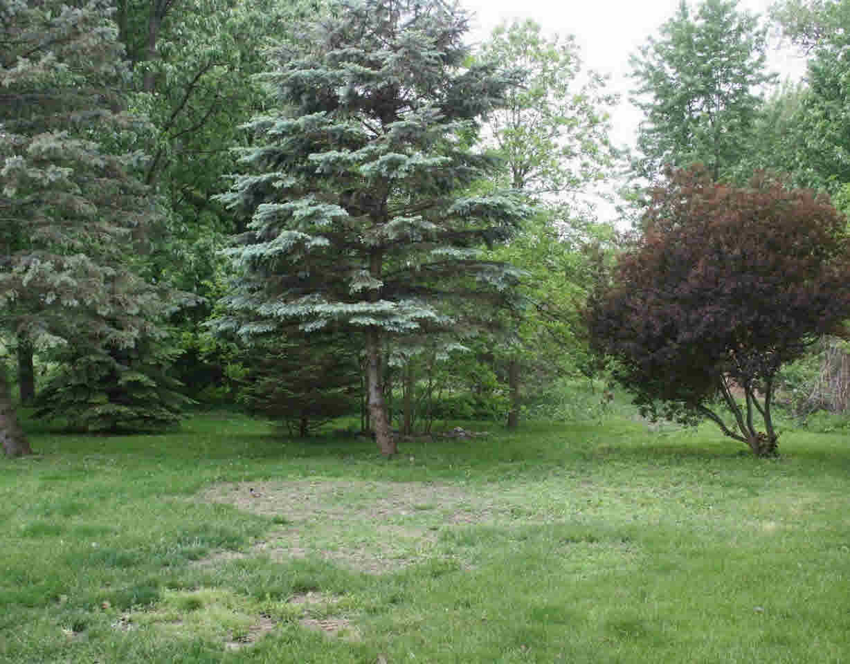 3464 Morrish Road Swartz Creek, MI 48473 - Photo 19 of 19 21299684-18.JPG