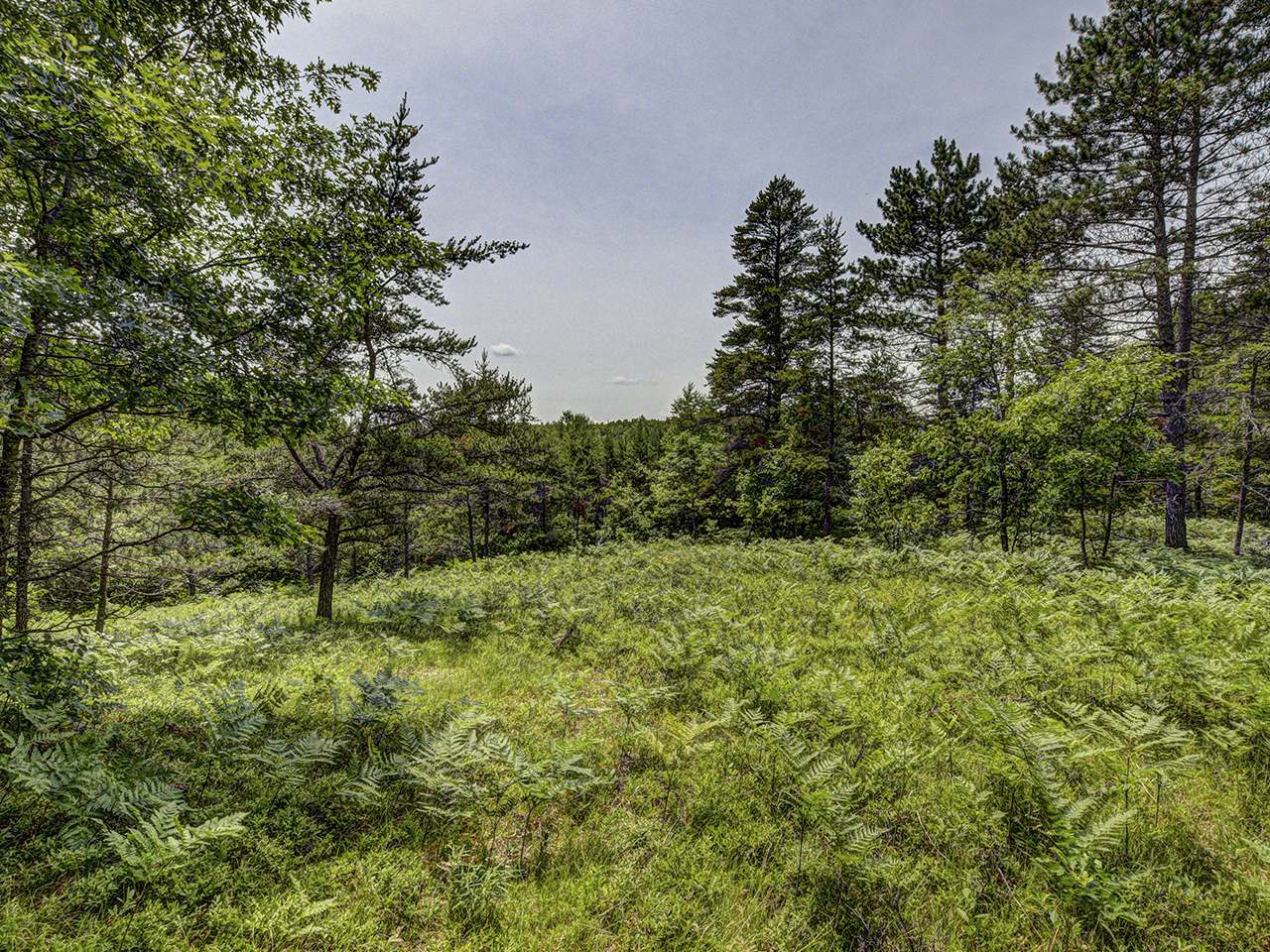 4987 Alexander Lane Conover, WI 54519 - Photo 42 of 46 Gallery Image 42