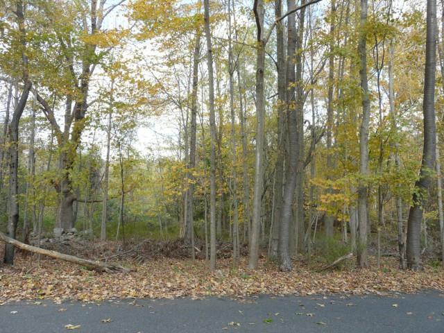 Ichabod Road Southbury, CT 06488 - Photo 1 of 1 a view of a forest