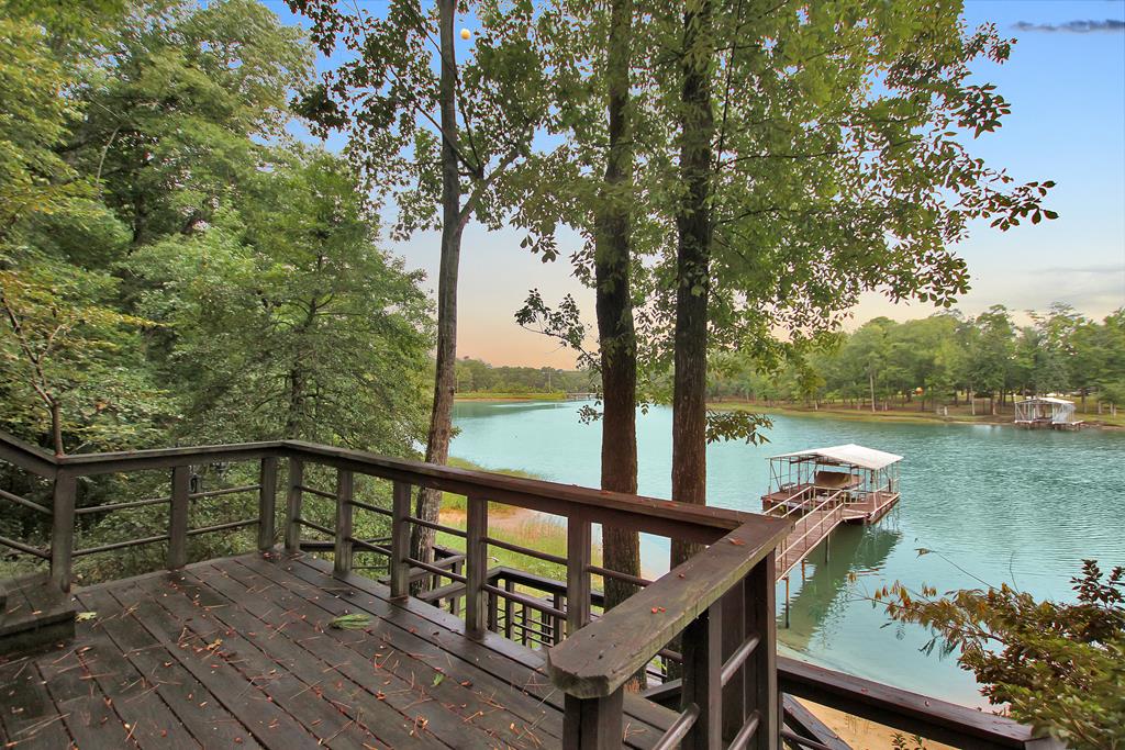 333 Mill Creek Road Abbeville, AL 36310 - Photo 9 of 46