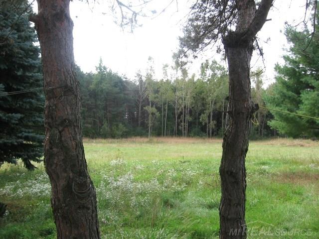 5548 Applegate Road Applegate, MI 48401 - Photo 21 of 26 31264454-20.JPG