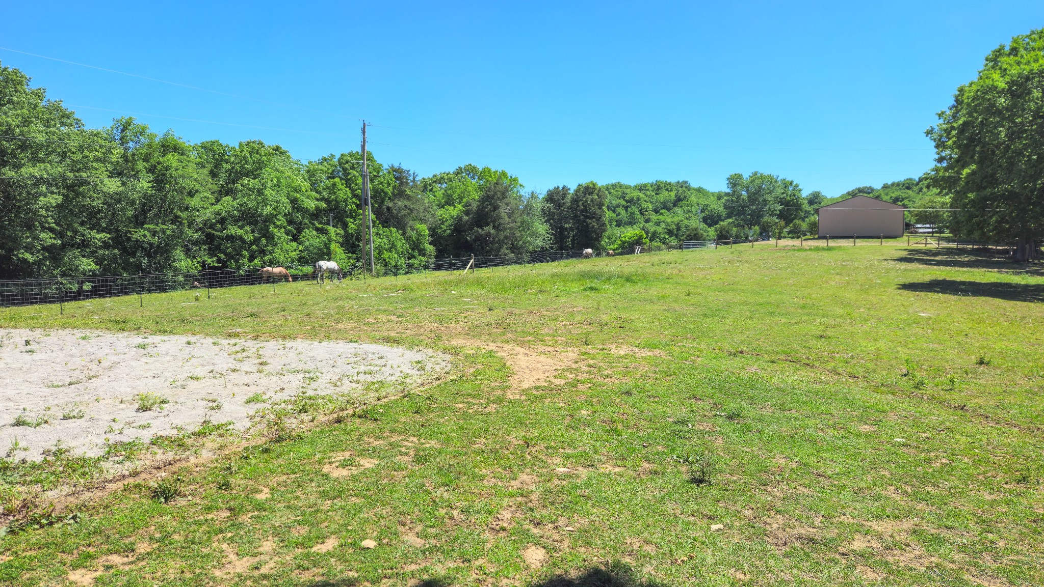 789 Holt Hollow Road Prospect, TN 38477 - Photo 45 of 69