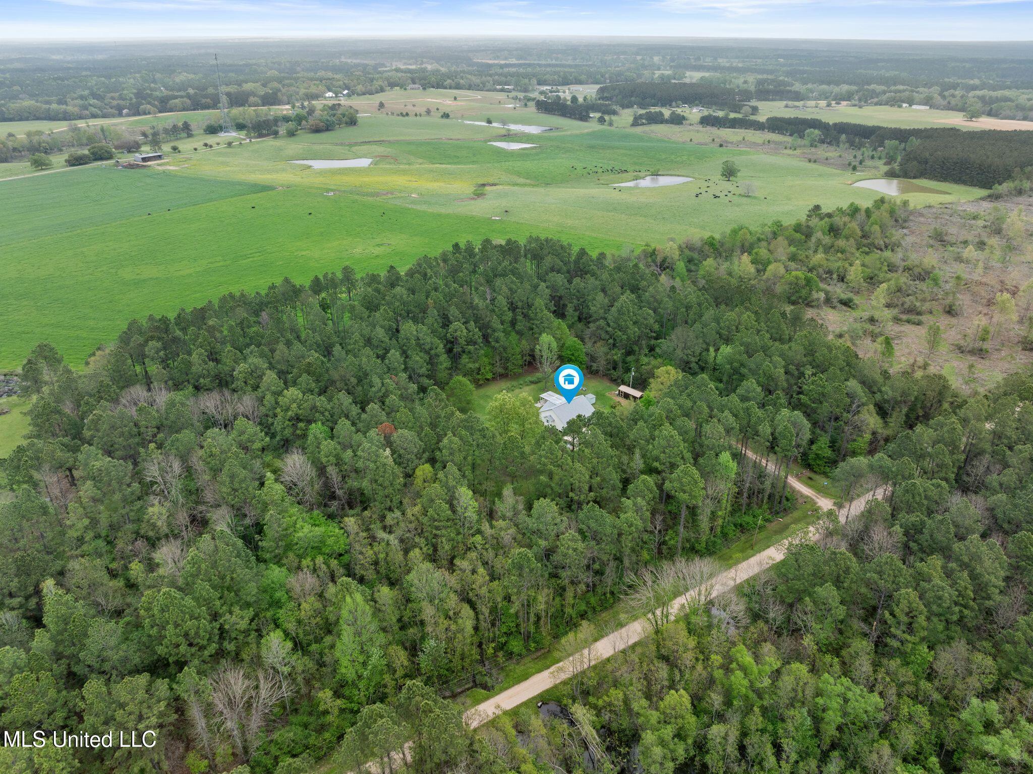 11 Winchester Road Poplarville, MS 39470 - Photo 2 of 25 IMG_1188