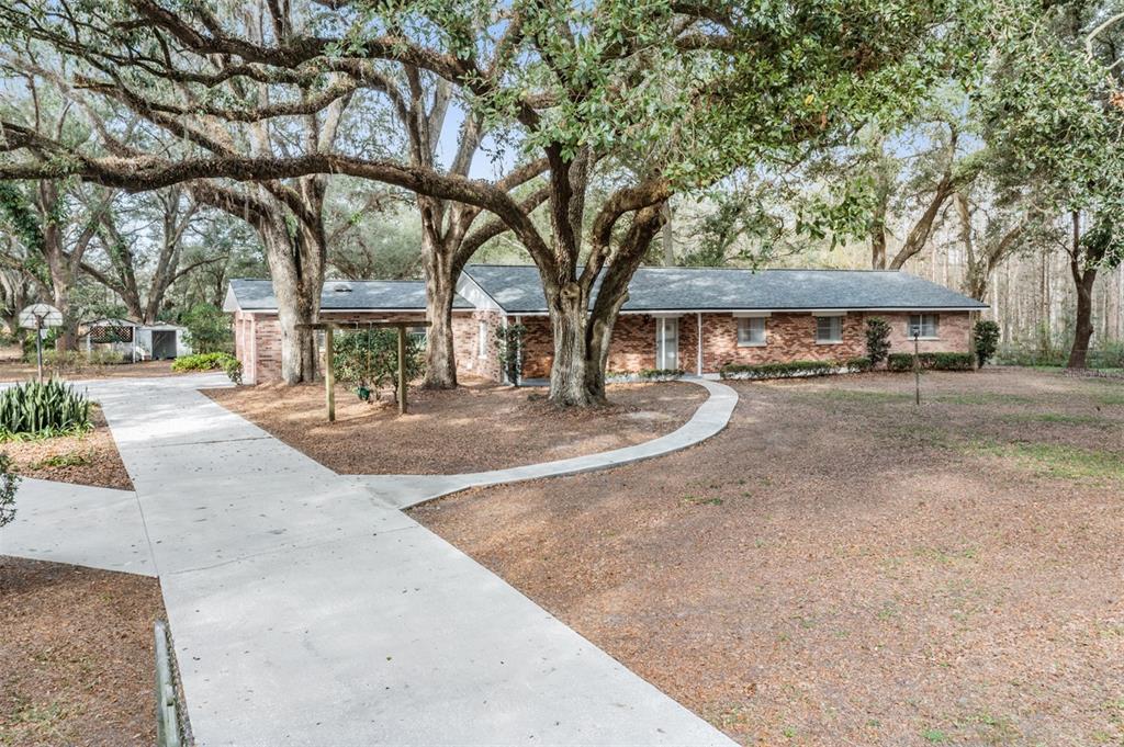 5005 Pless Road Plant City, FL 33565 - Photo 1 of 1 Gallery Image 1