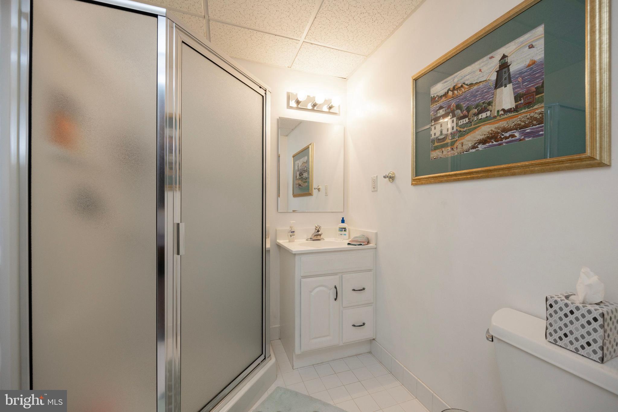 5 Brampton Road Malvern, PA 19355 - Photo 43 of 59 Lower Level Full Bath