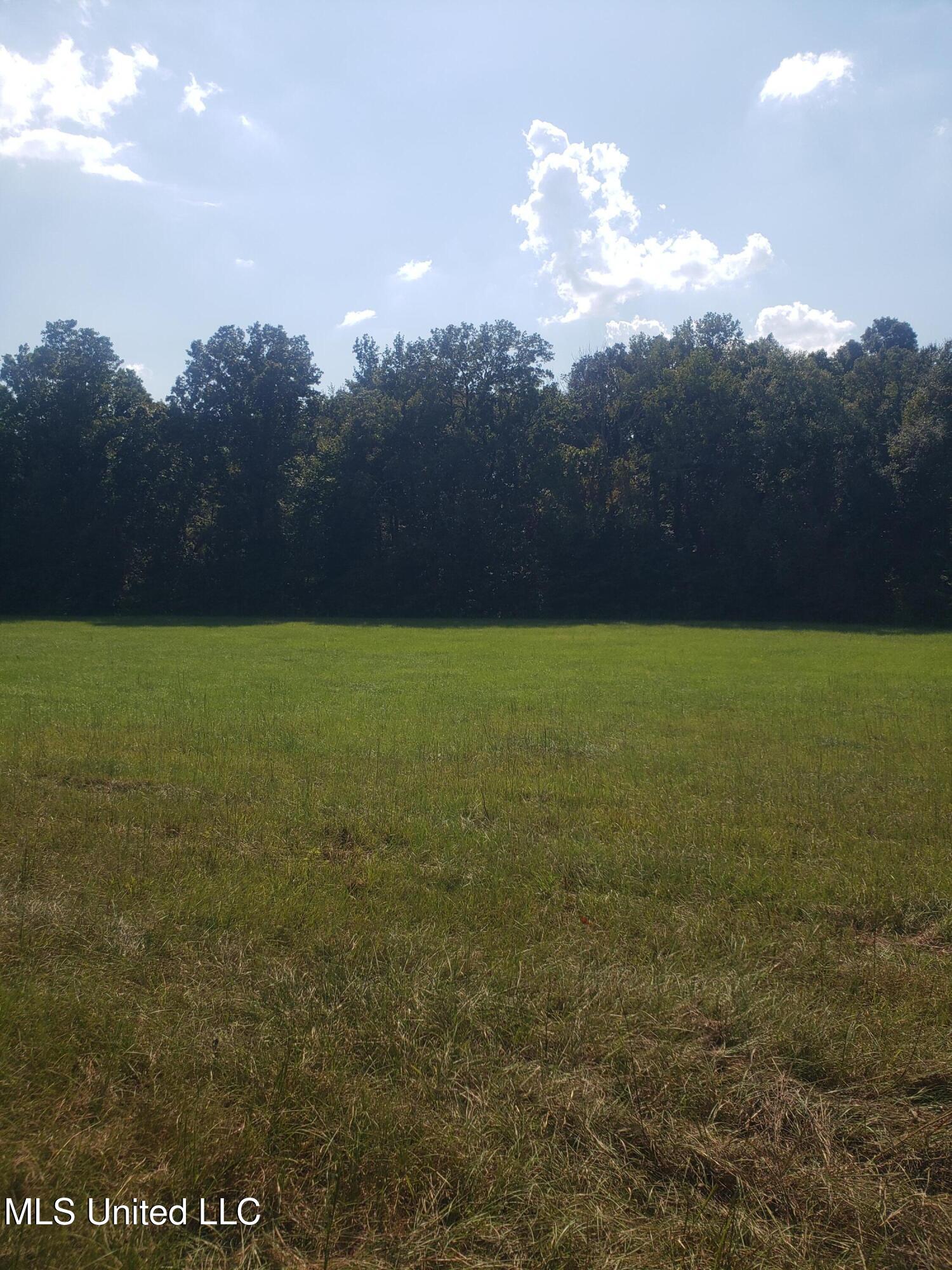 2313 South Frontage Road Clinton, MS 39056 - Photo 7 of 7 Trees
