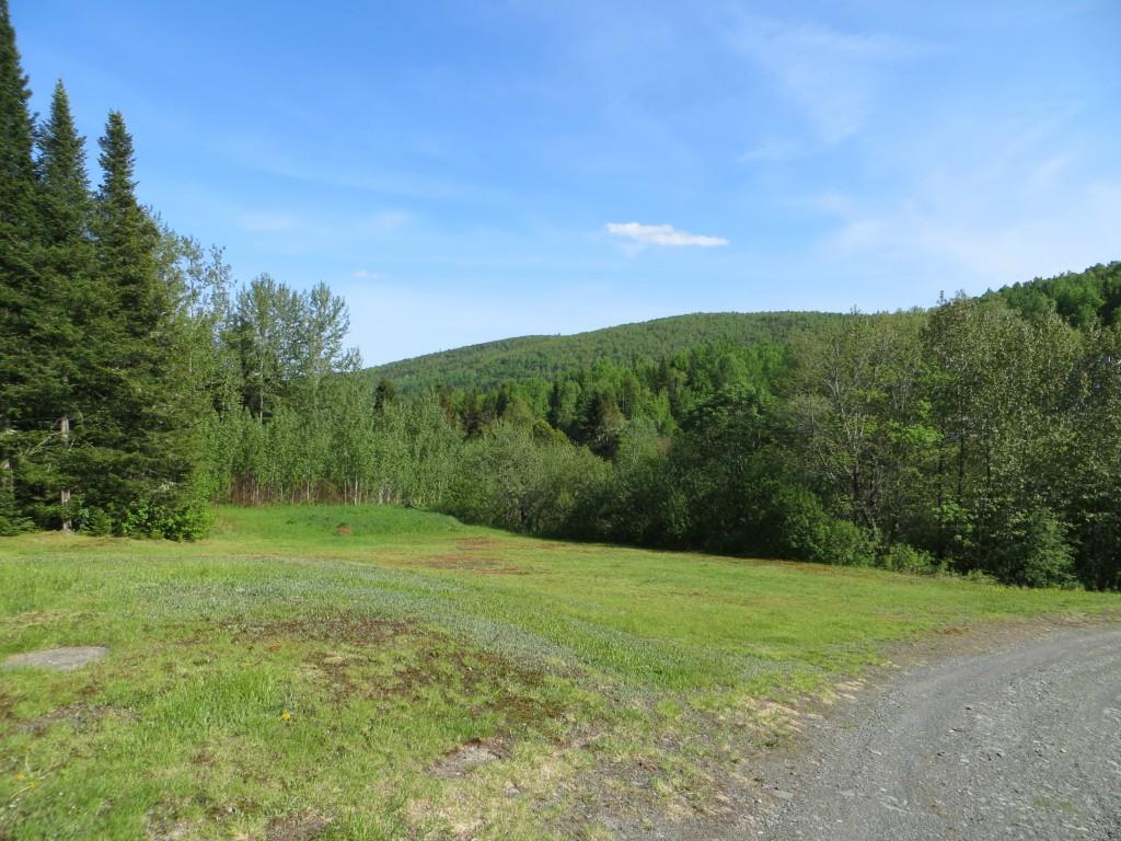 604 Violette Settlement Road Fort Kent, ME 04743 - Photo 30 of 33 Forever views from the driveway by...