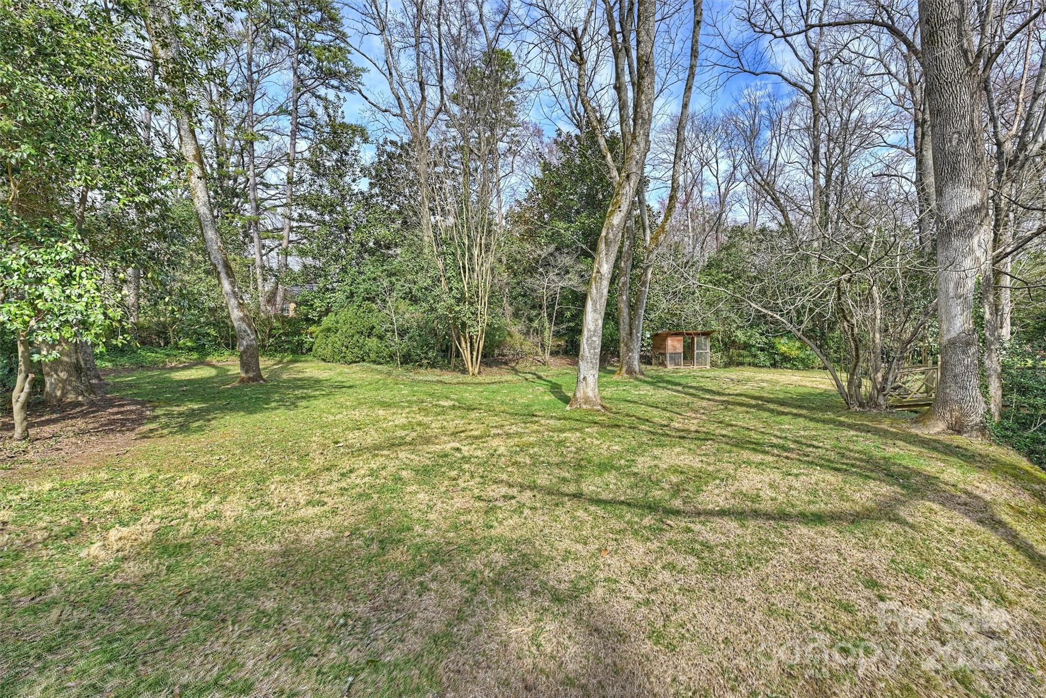 830 Jefferson Drive Charlotte, NC 28270 - Photo 36 of 38 a view of outdoor space with trees all around