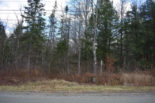 $175,000 | 0 Grafton Pond Road, Enfield, NH 03748