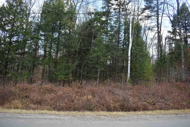 $175,000 | 0 Grafton Pond Road, Enfield, NH 03748